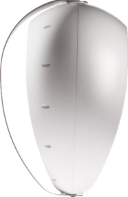 Deva, side view of the white shell
